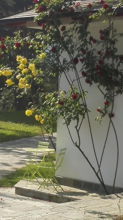 Caterina.C B&B Val della Torre Екстер'єр фото
