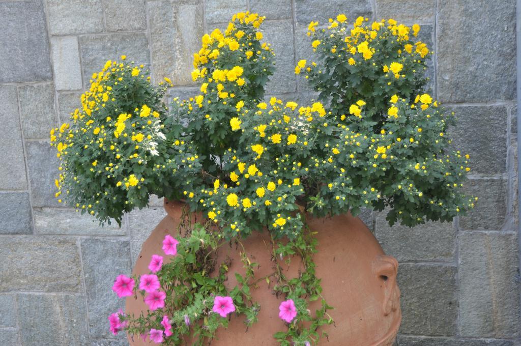 Caterina.C B&B Val della Torre Екстер'єр фото